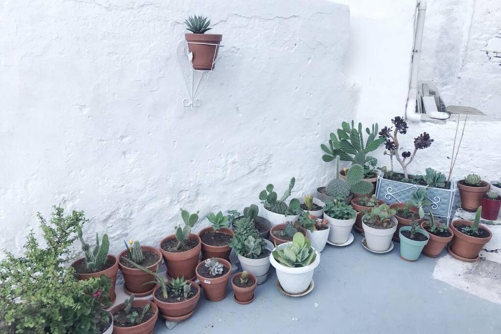 Villa Little Cactus Serifos Town Exterior foto